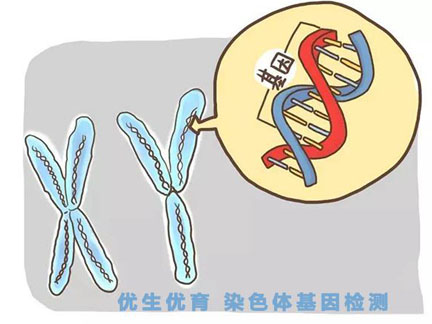 夫妻双方染色体正常，胎儿染色体还会有问题吗？